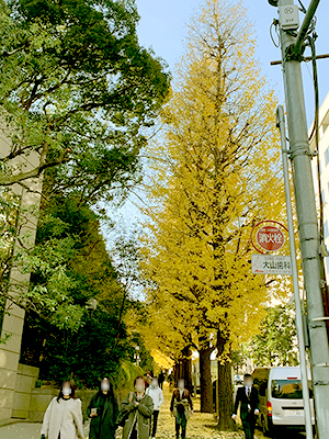 来年もよろしくお願いします。画像