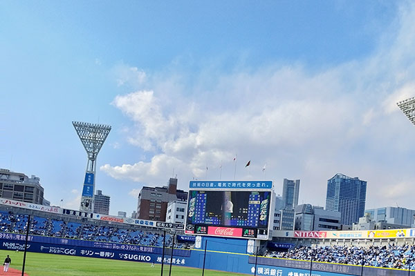 青空の下!画像