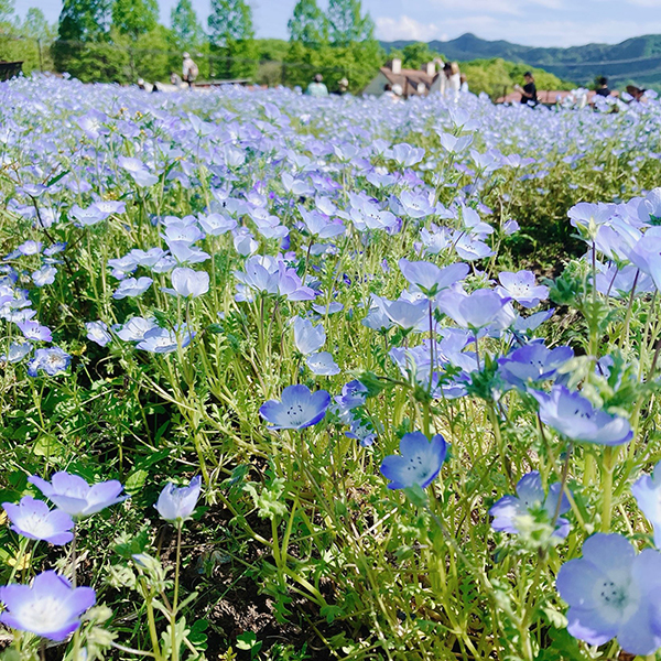 夏本番を前に、